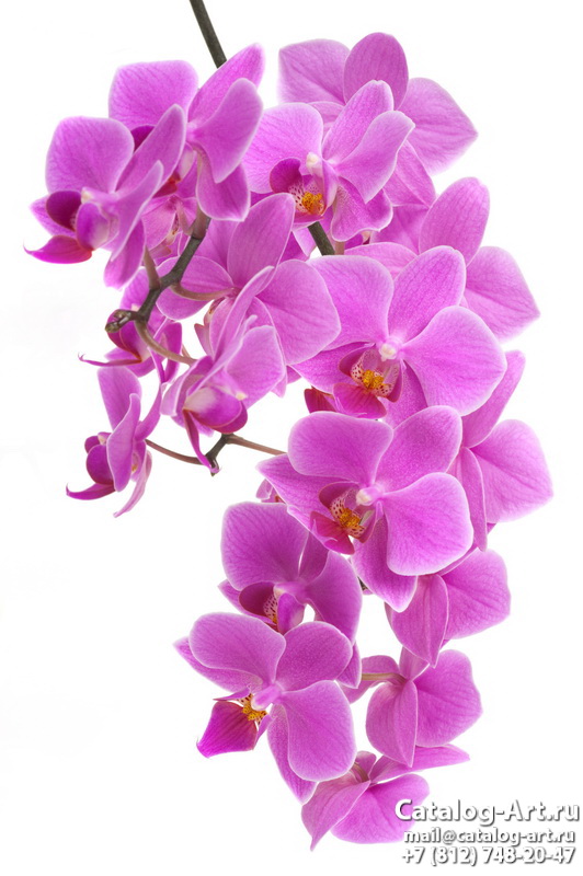 Натяжные потолки с фотопечатью - Розовые орхидеи 104